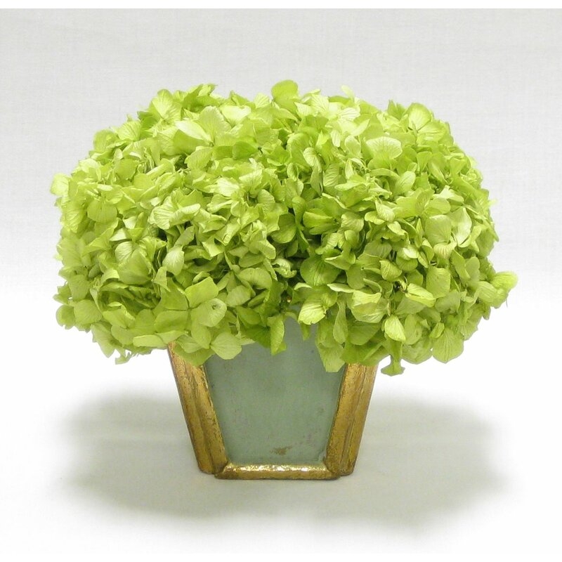 Hydrangea Floral Arrangement in Pot Flower Color: Basil, Base Color: Silver - Image 0