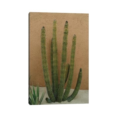 Cabo Cactus XI by Bethany Young - Wrapped Canvas Photograph Print - Image 0