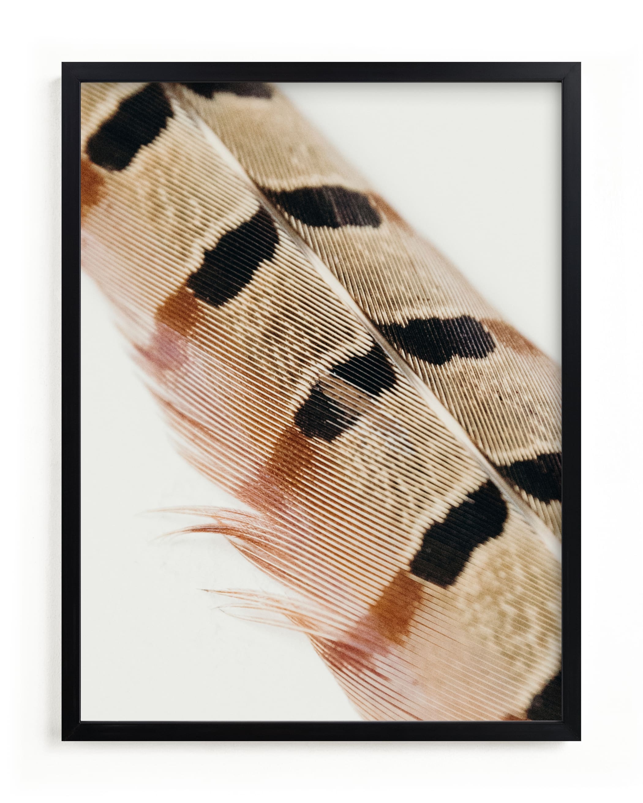 Feather Study I Limited Edition Fine Art Print 2 - Image 0