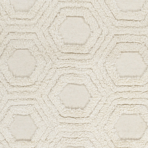 Kabru Beige Indoor 2' x 3' Handmade Rug - Image 0