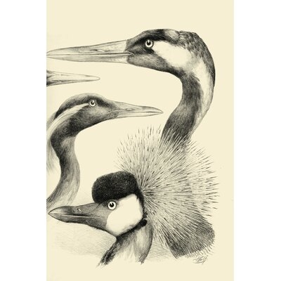 Waterbird Sketchbook I - Image 0