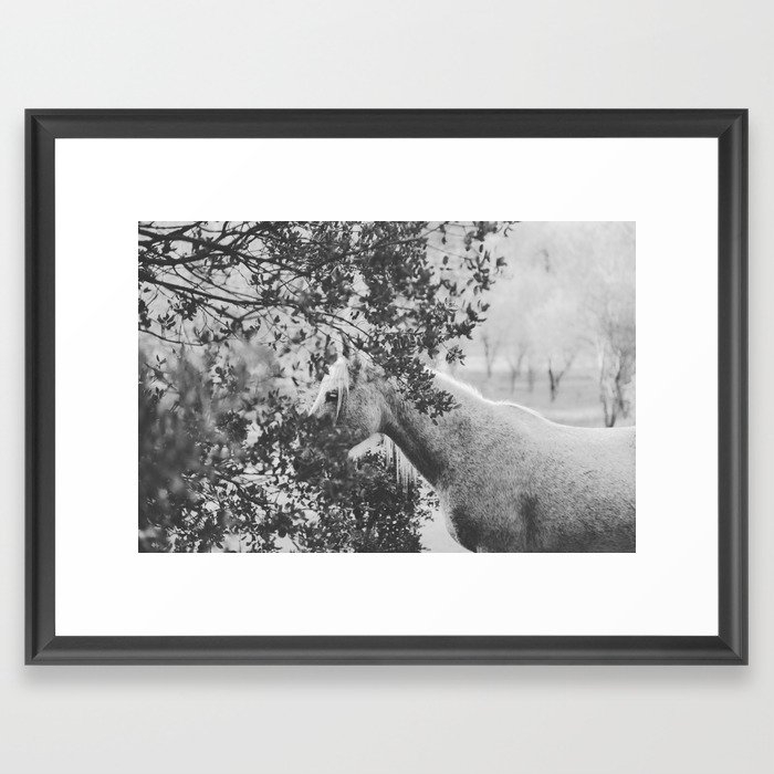 Horse Ii _ Photography Framed Art Print by Florent Bodart / Speakerine - Scoop Black - Medium(Gallery) 18" x 24"-20x26 - Image 0
