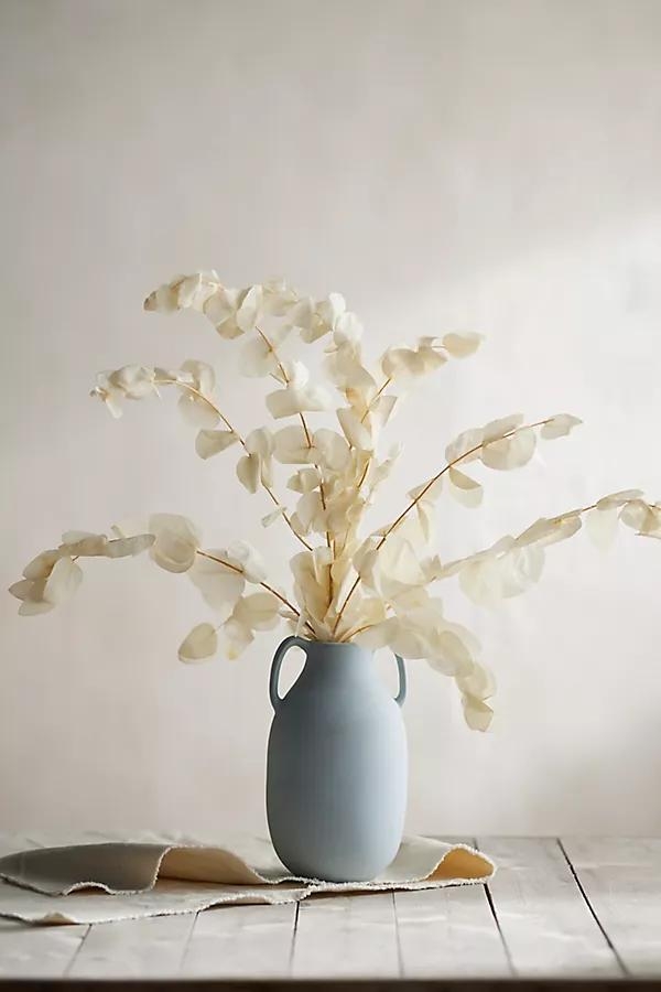 Preserved Silver Dollar Eucalyptus Bunch, White - Image 0