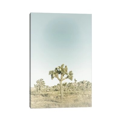 Joshua Tree National Park | Vintage by Melanie Viola - Gallery-Wrapped Canvas Giclée - Image 0
