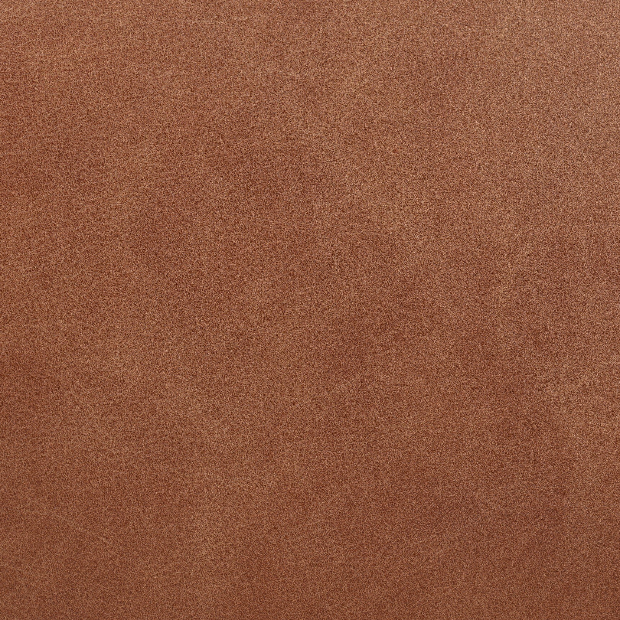 Sherman Lowback Desk Chair - Sonoma Chestnut - Image 4