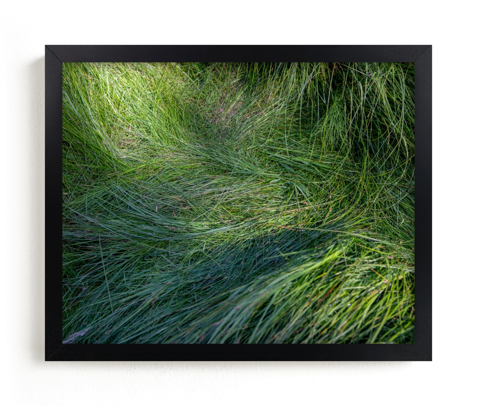 A Deer Slept Here. Limited Edition Fine Art Print 2 - Image 0