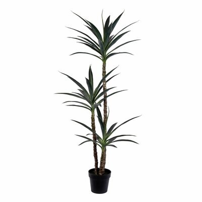 Faux Yucca Tree in Pot, 60" - Image 0