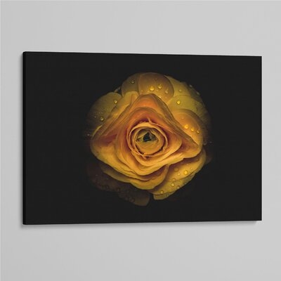 'Backyard Flowers 74 ' - Photographic Print On Wrapped Canvas - Image 0