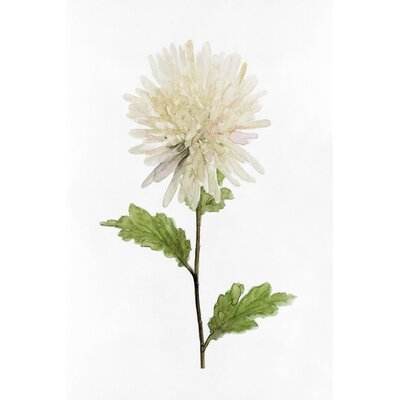 White Blossom IV - Image 0