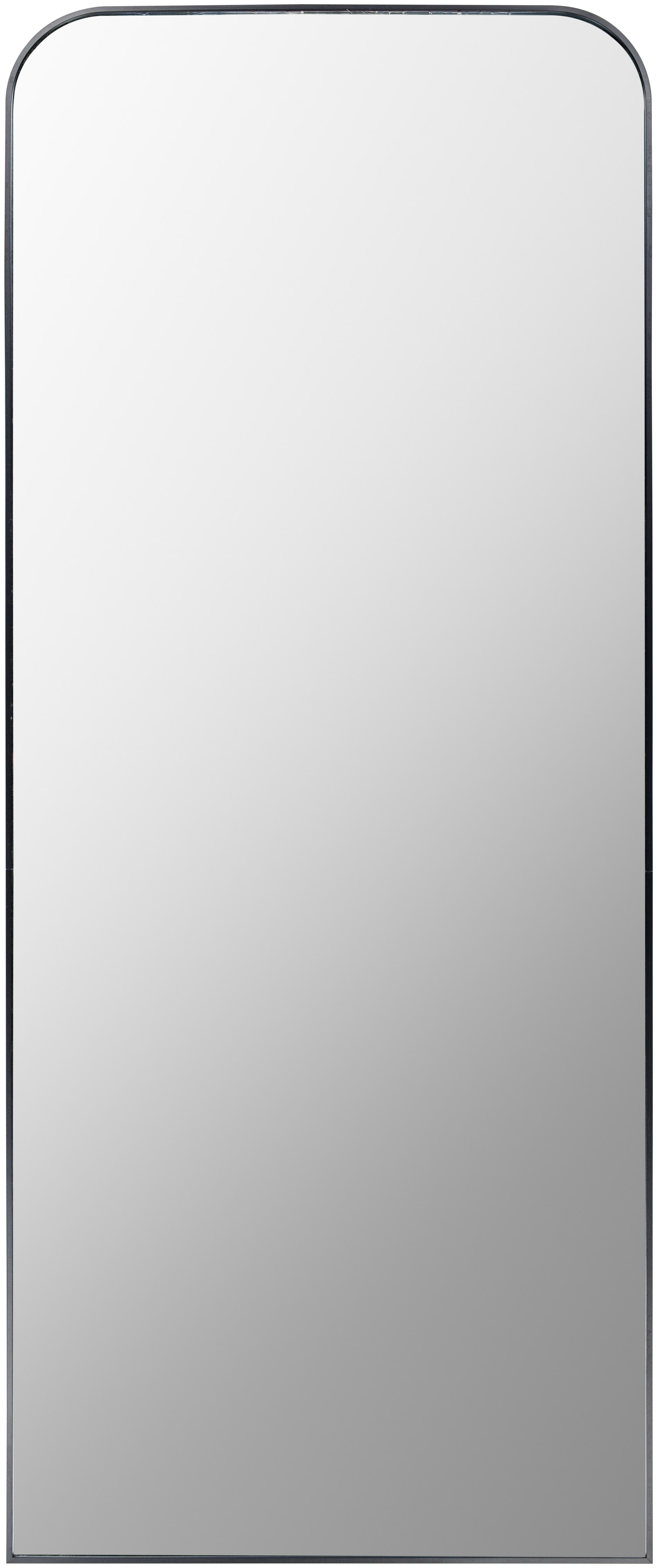 Aranya Black 67"H x 28"W x 1"D Full Length Mirror - Image 0