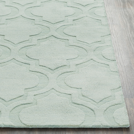 Central Park Green Indoor 2'3" x 12' Handmade Rug - Image 1