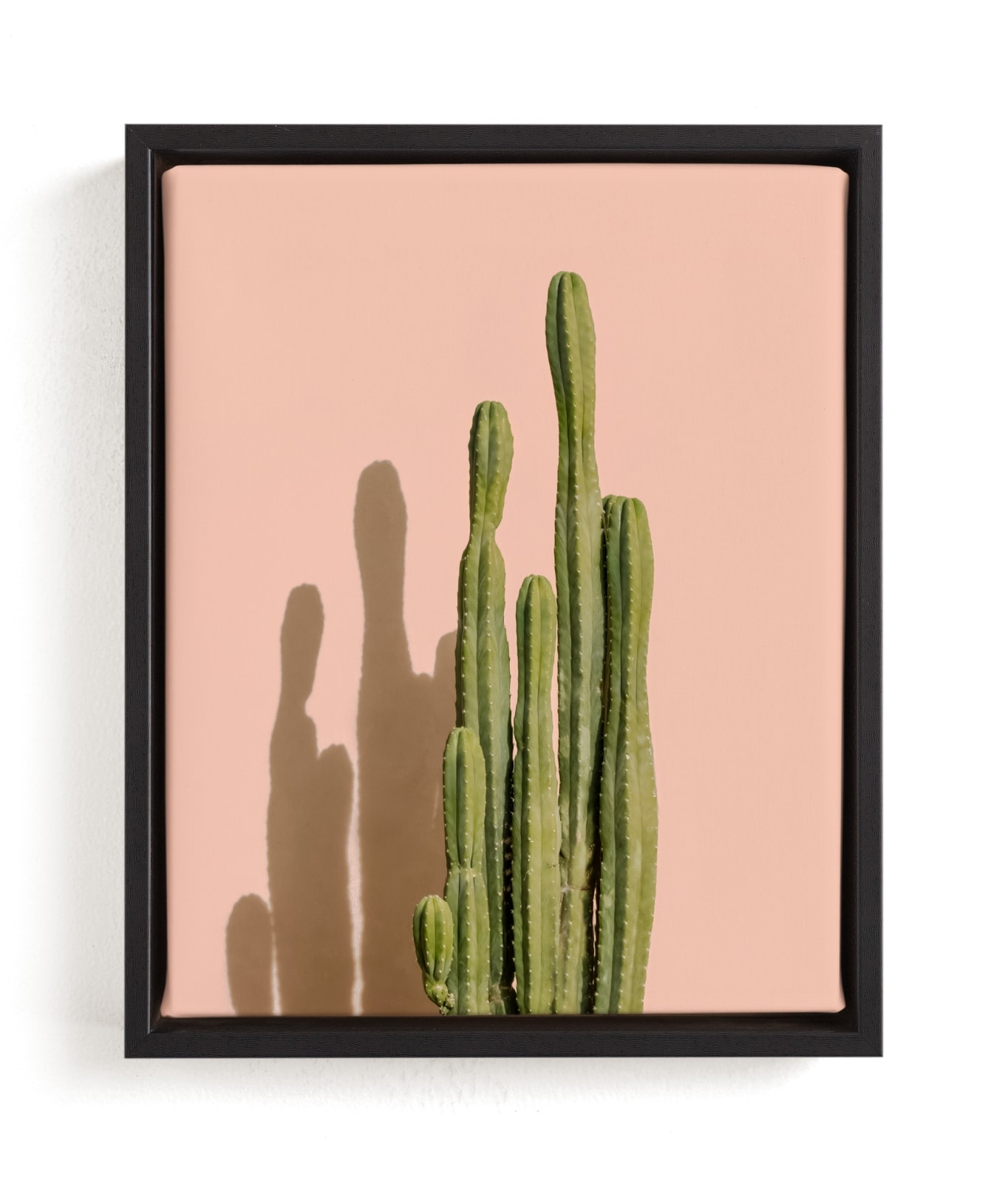 Palm Desert Cactus Open Edition Fine Art Print - Image 0