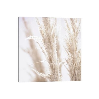Pampas Reed I Square by Monika Strigel - Wrapped Canvas Photograph Print - Image 0