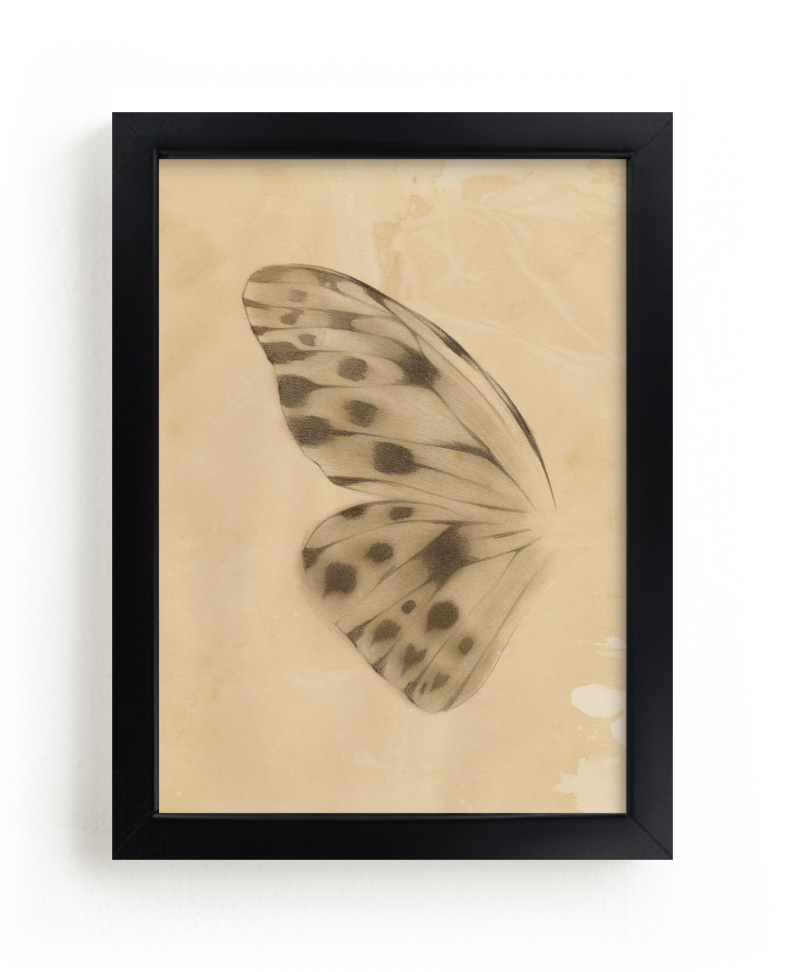 Vintage Mariposa I Limited Edition Fine Art Print 2 - Image 0