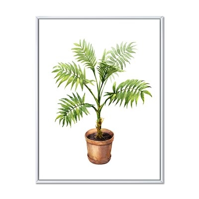 Palm In Clay Flowerpot - Traditional Canvas Wall Art Print-FDP35074 - Image 0