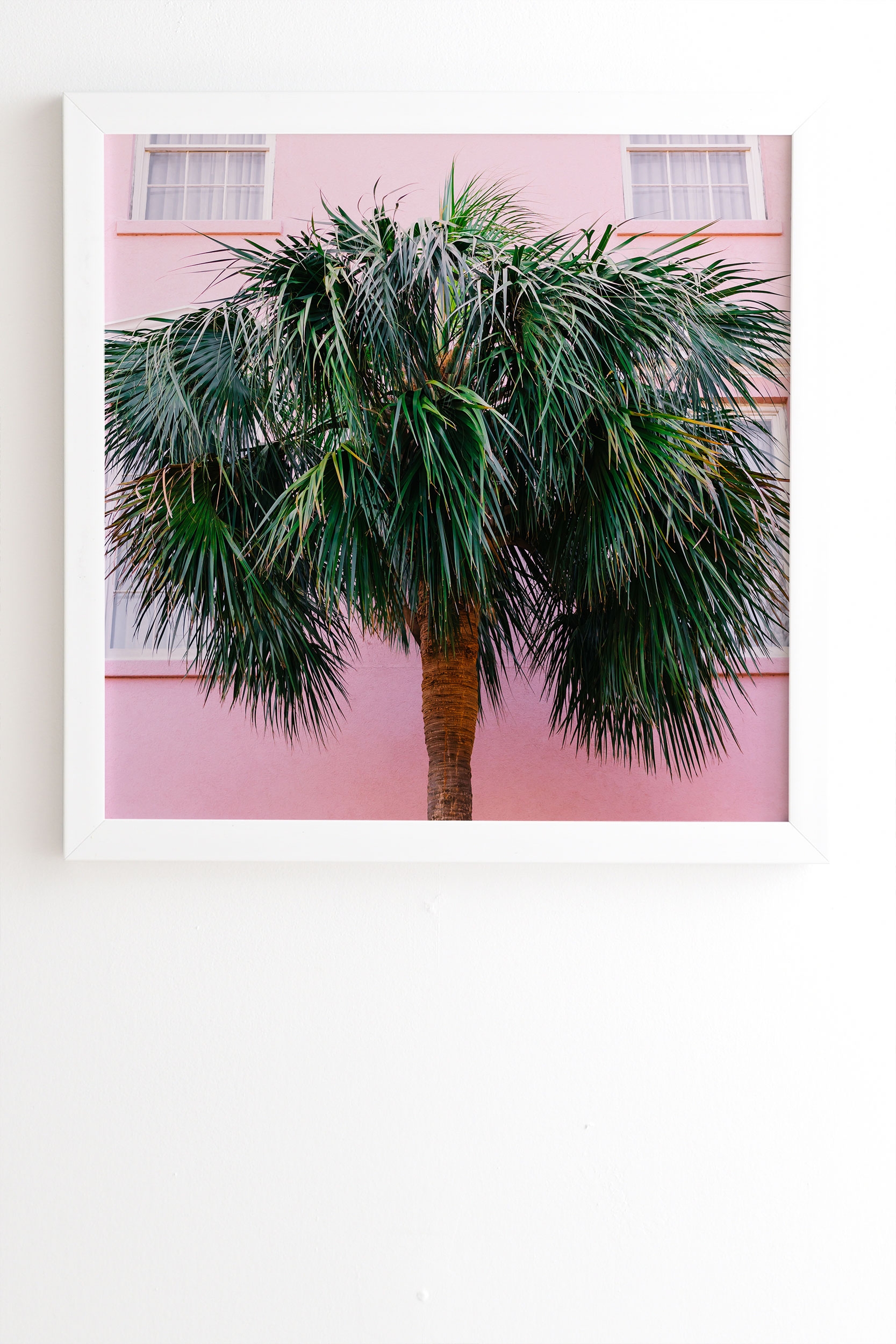 Charleston Pink by Bethany Young Photography - Framed Wall Art Basic White 20" x 20" - Image 1