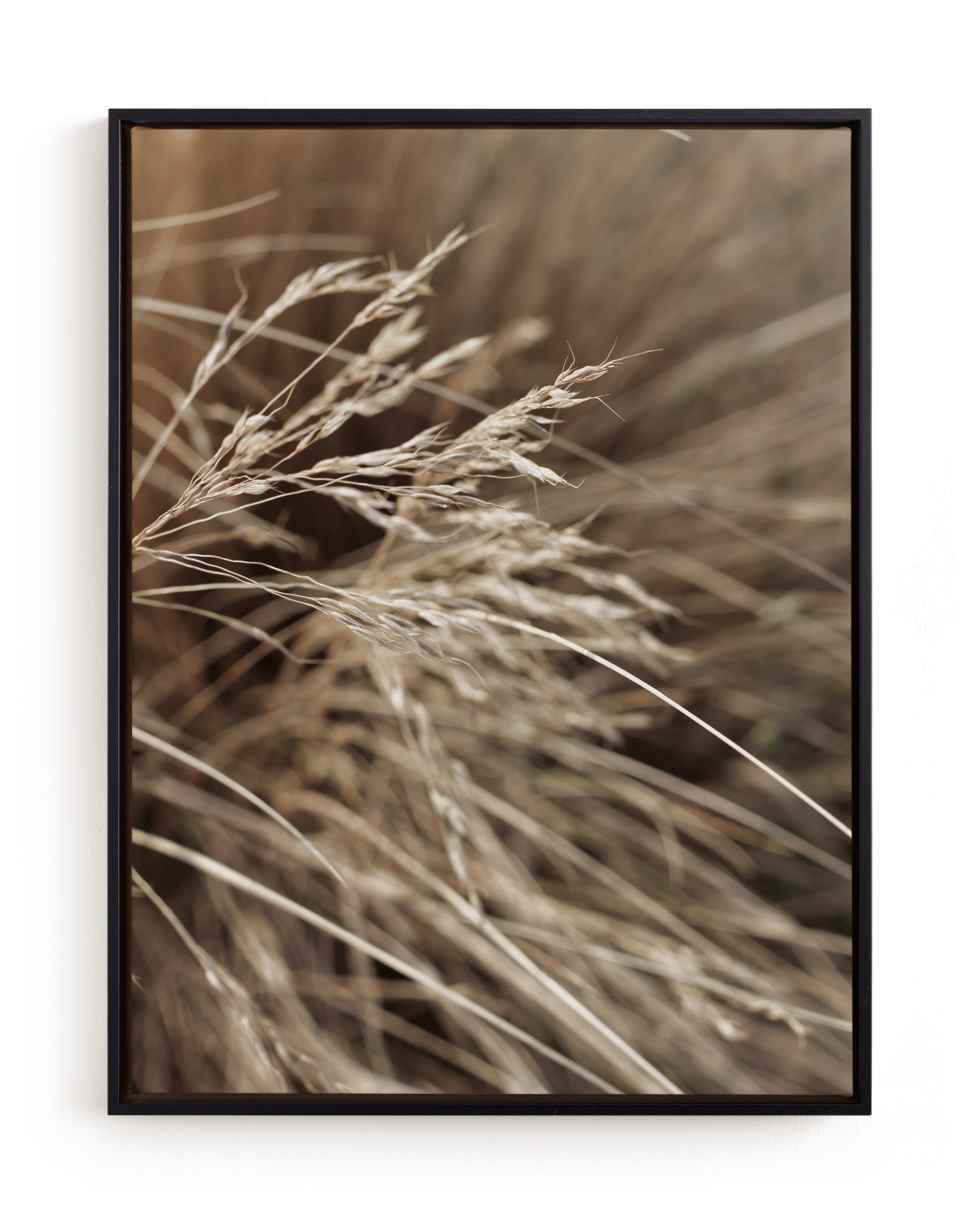 Summertime 2 Limited Edition Fine Art Print 2 - Image 0