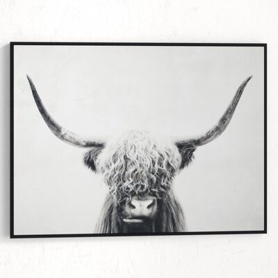 'Pancho' - Picture Frame Graphic Art Print on Wrapped Canvas - Image 0