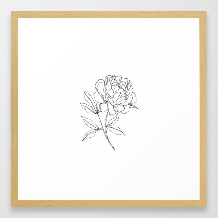 Botanical Illustration Line Drawing - Peony Framed Art Print by The Colour Study - Conservation Natural - MEDIUM (Gallery)-22x22 - Image 0