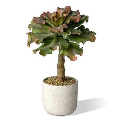 15'' Artificial Succulent in Pot - Image 0