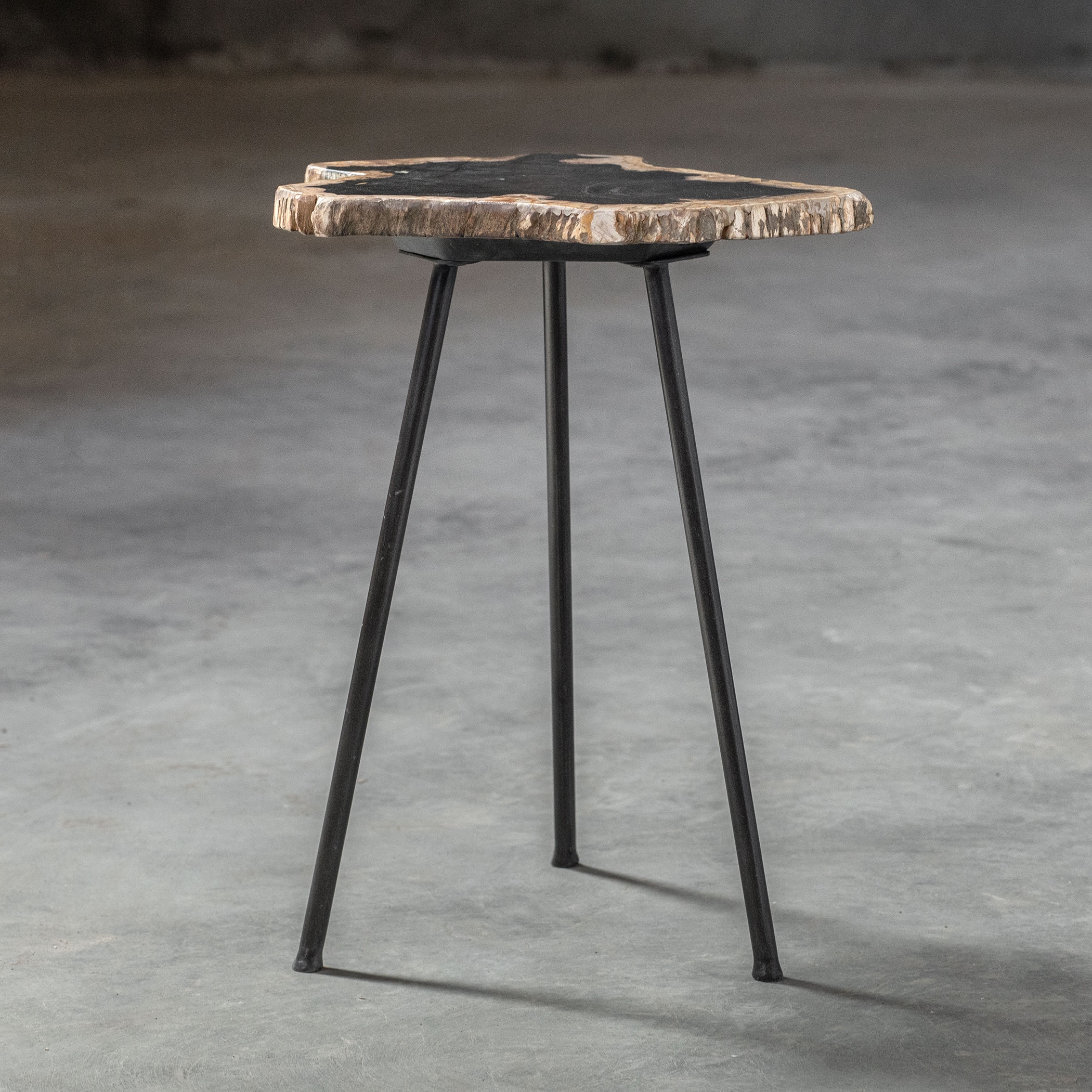 Mircea Petrified Wood Accent Table - Image 3