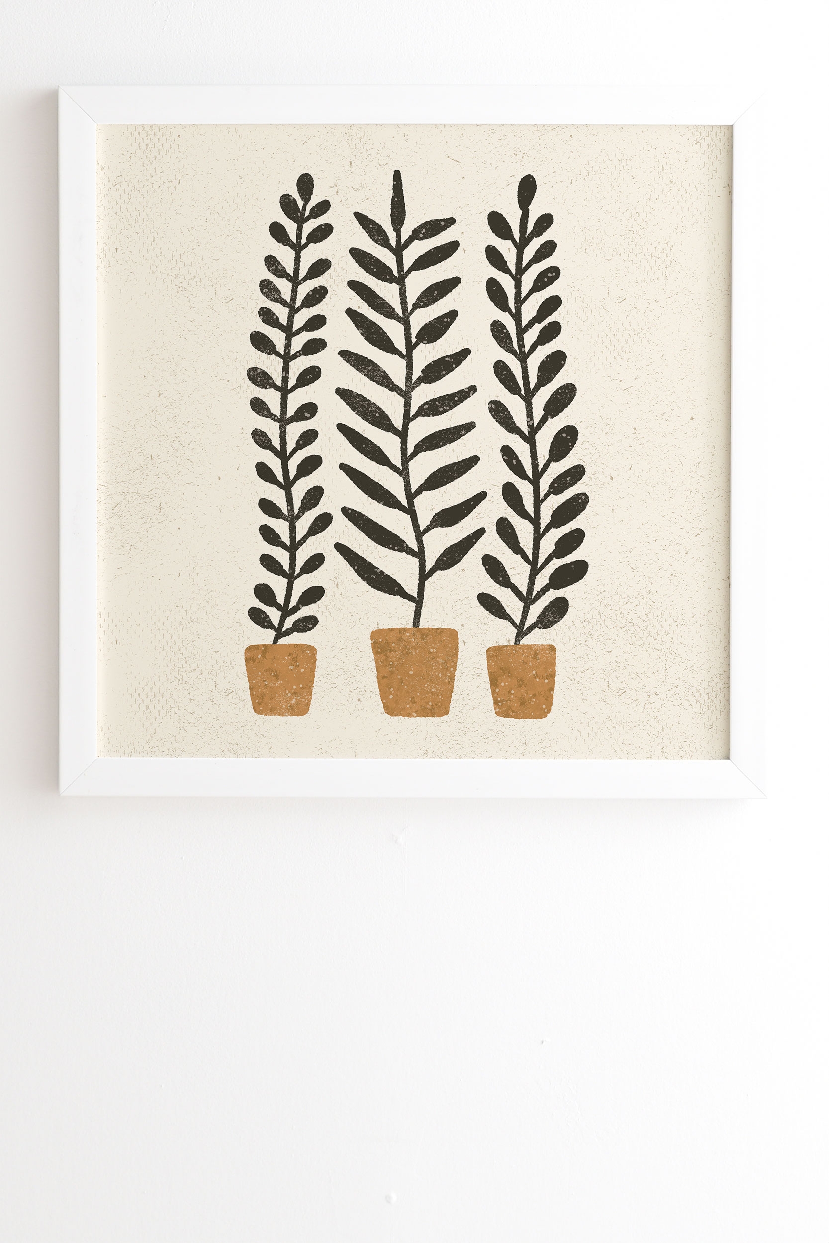 Potted Ferns Black Terracotta by Pauline Stanley - Framed Wall Art Basic White 30" x 30" - Image 1