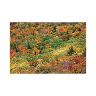 Brockway Colors by Kevin Clifford - Gallery-Wrapped Canvas Giclée - Image 0