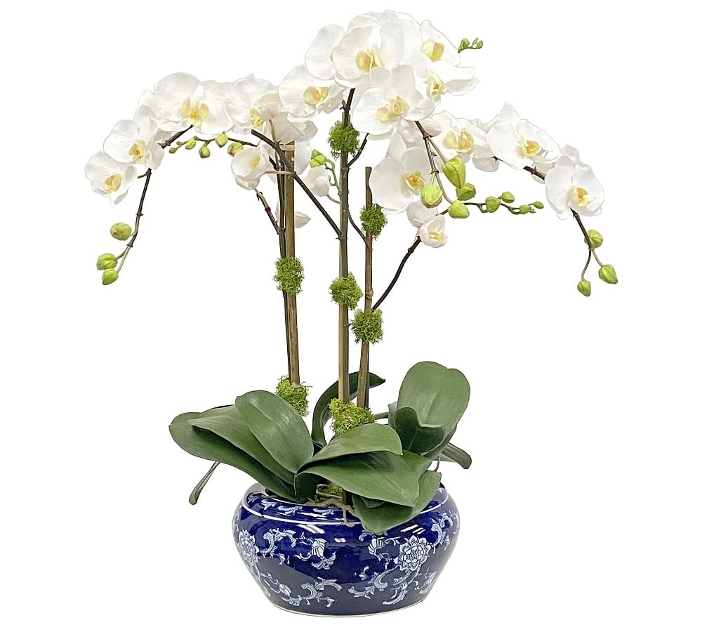 Faux Orchid In Fish Bowl, 25" - Image 0