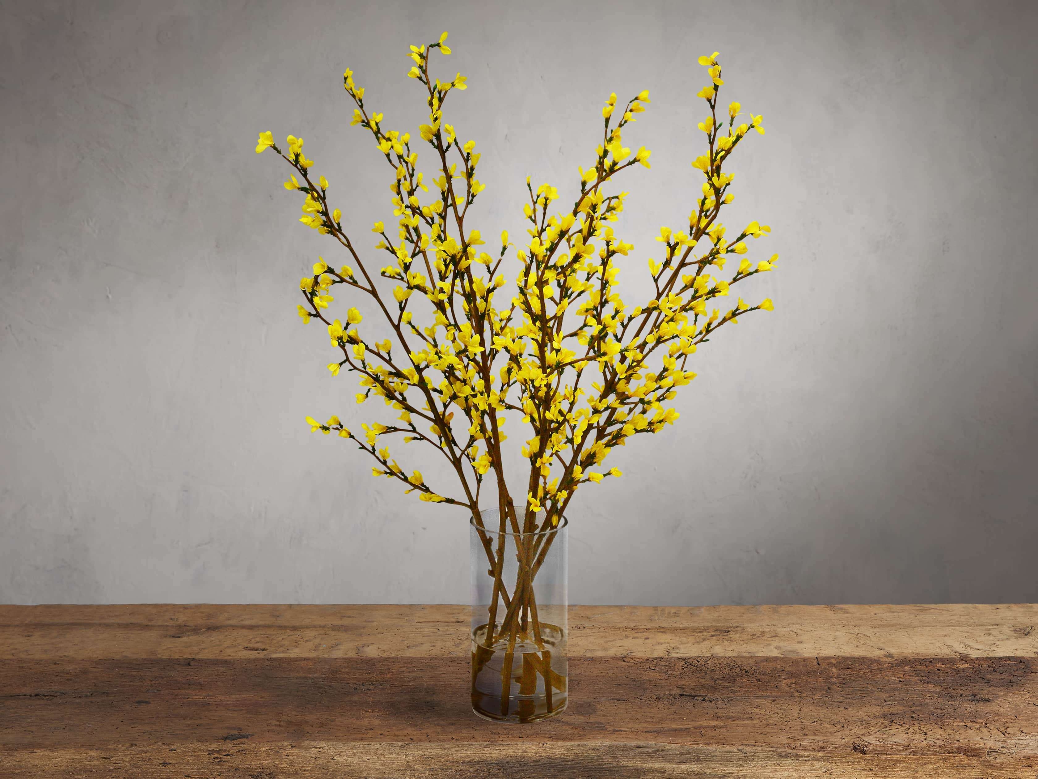 Forsythia in Glass Yellow - Image 0