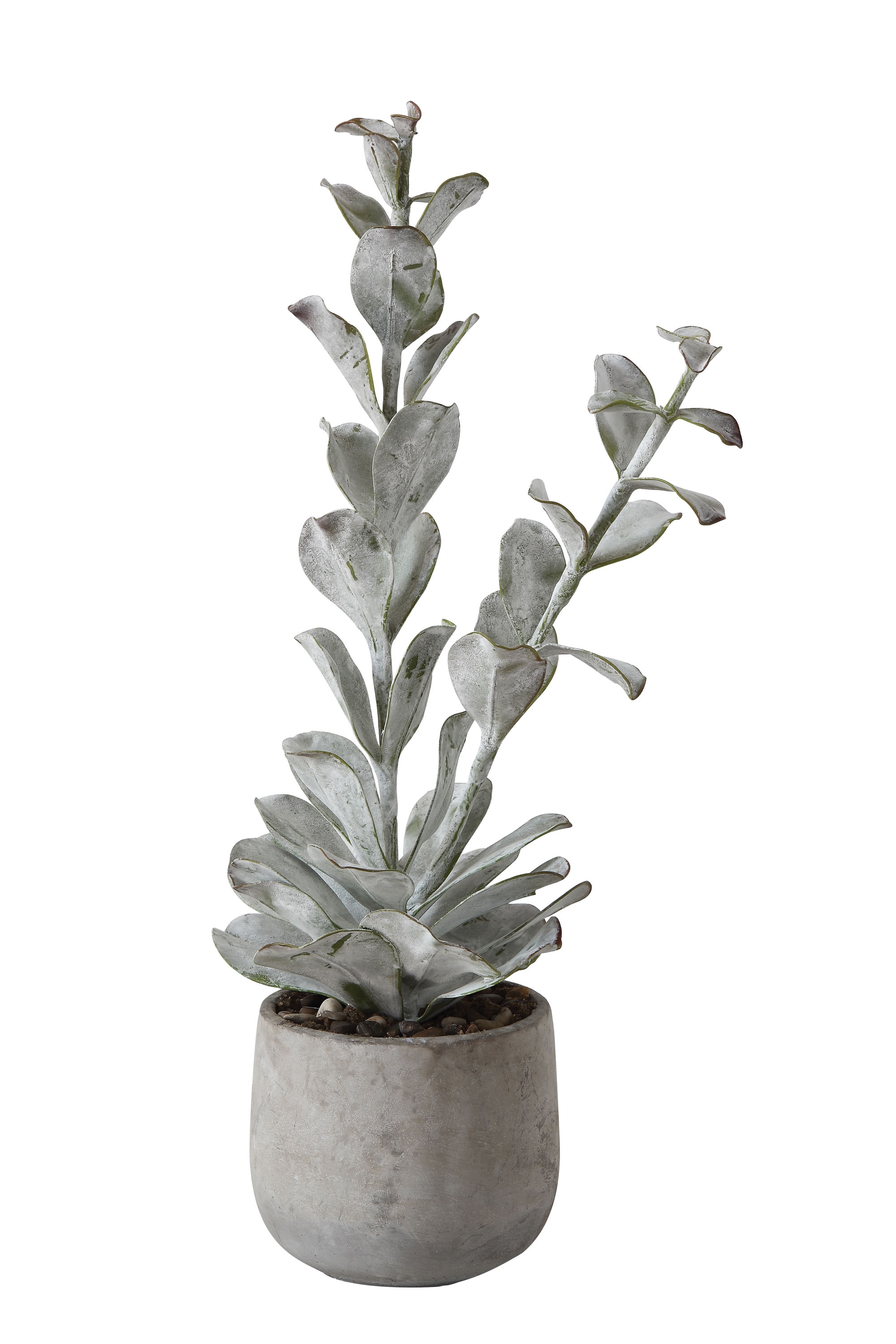 Faux Succulent in Cement Pot - Image 0