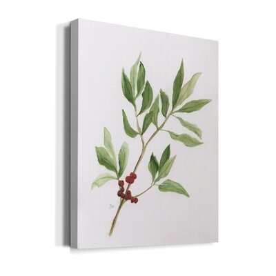 Winter Botanical I by Nan - Wrapped Canvas Painting Print - Image 0