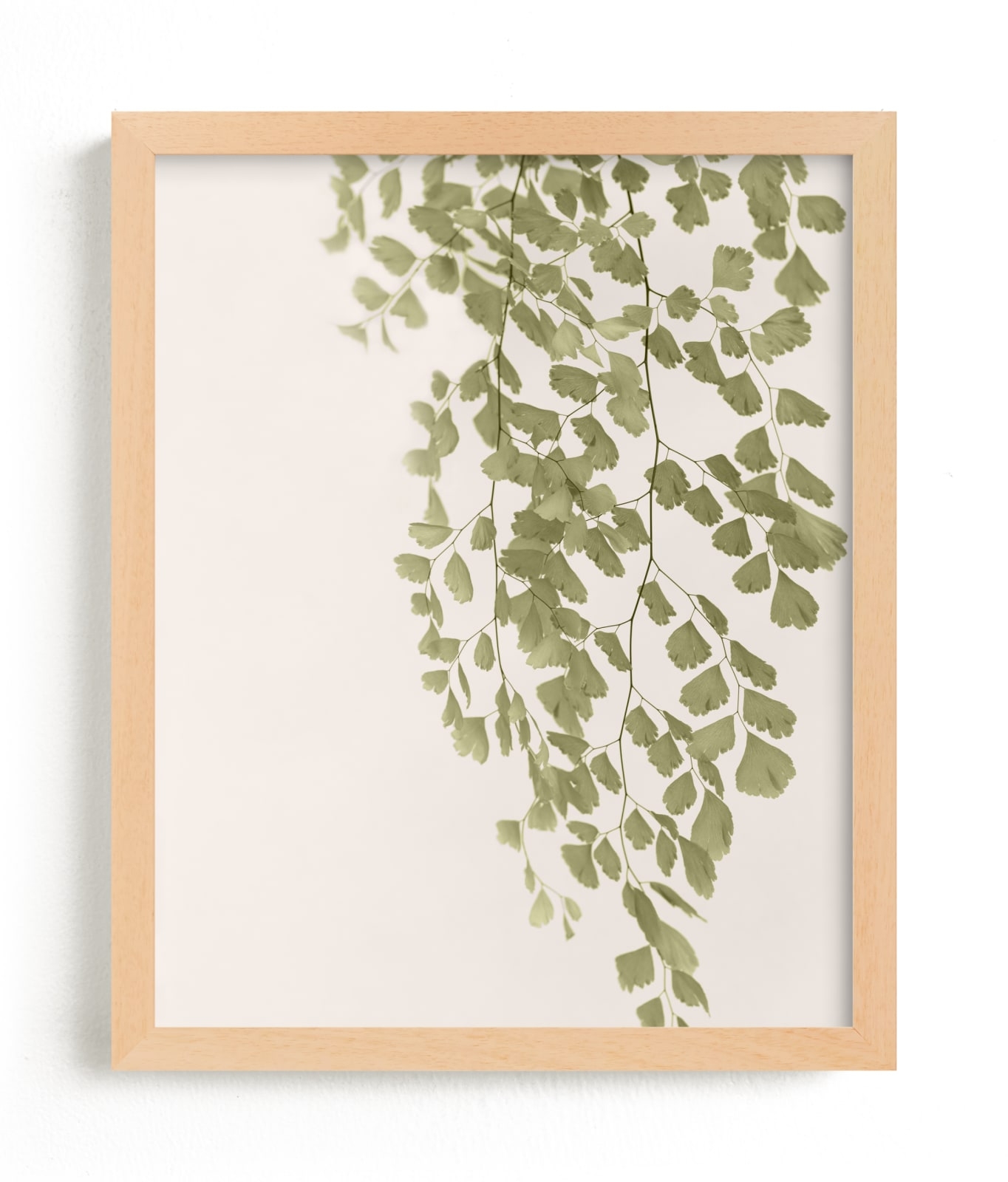 Softness Limited Edition Fine Art Print 2 - Image 0