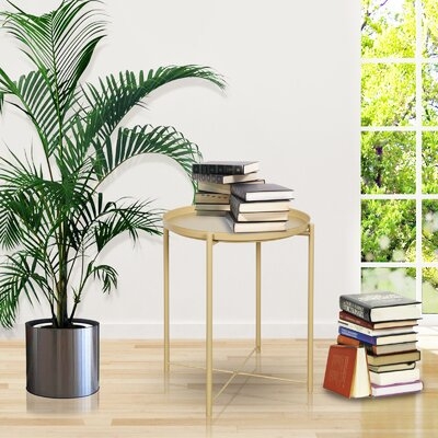 Metal End Table Side Table Accent Table With Round Tray - Image 0