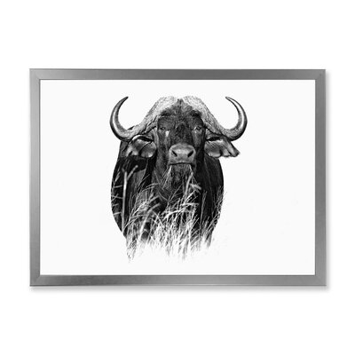 Monochrome Portrait Of Buffalo IV - Farmhouse Canvas Wall Art Print - Image 0