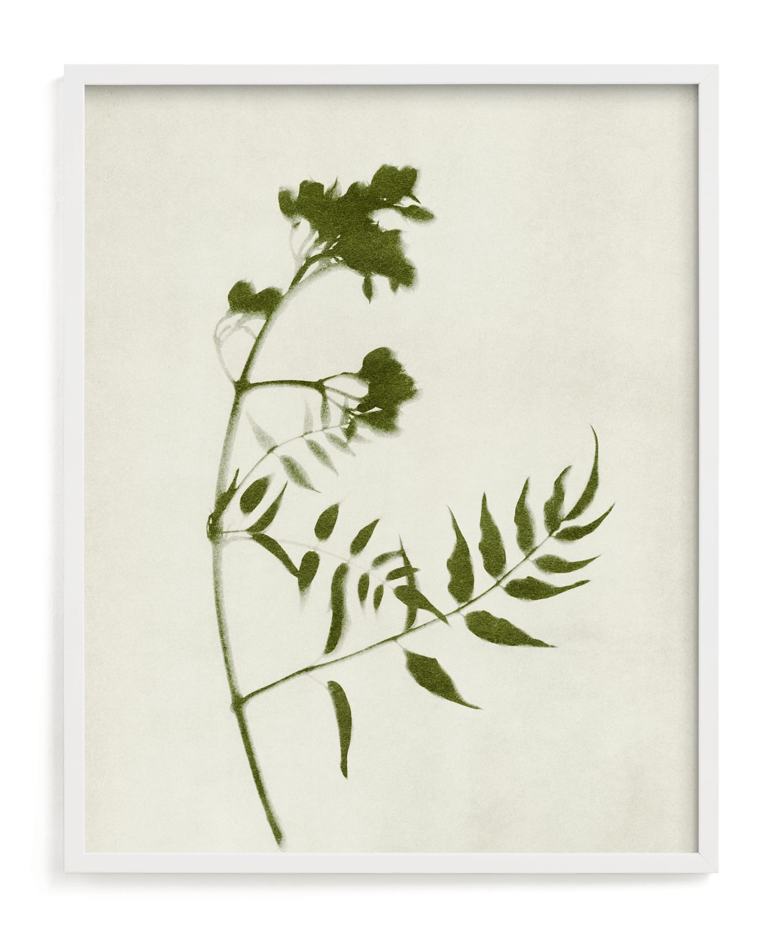 Foraged I Limited Edition Fine Art Print 2 - Image 0