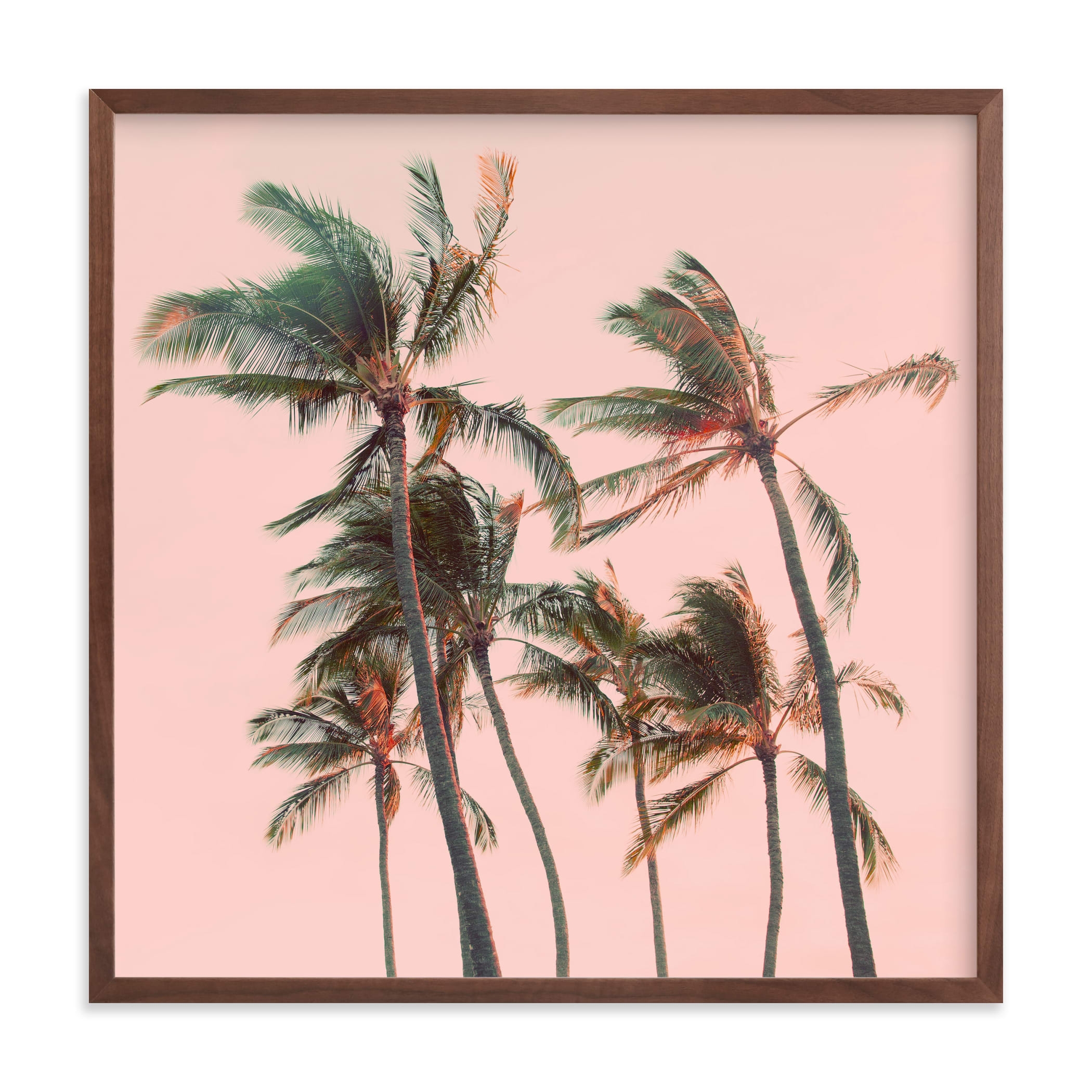 Aloha Limited Edition Fine Art Print 2 - Image 0