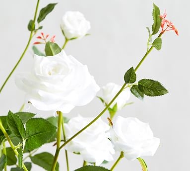 Faux Potted Roses, White - Small - Image 1