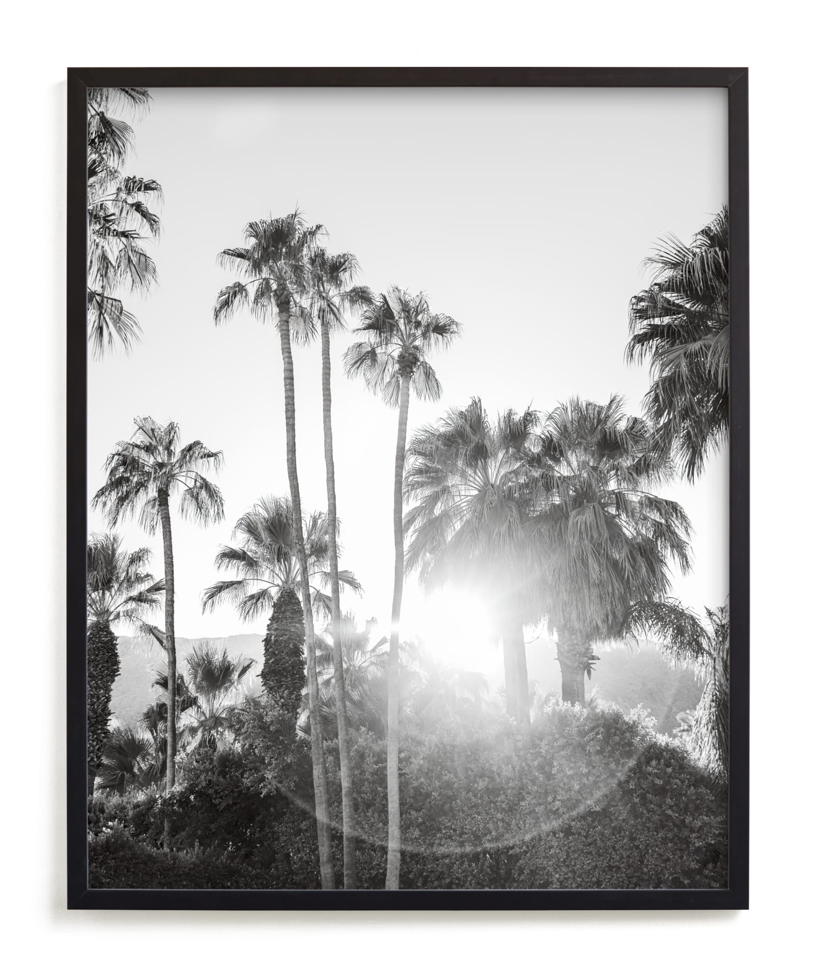 Sunflare Palms Limited Edition Fine Art Print 2 - Image 0