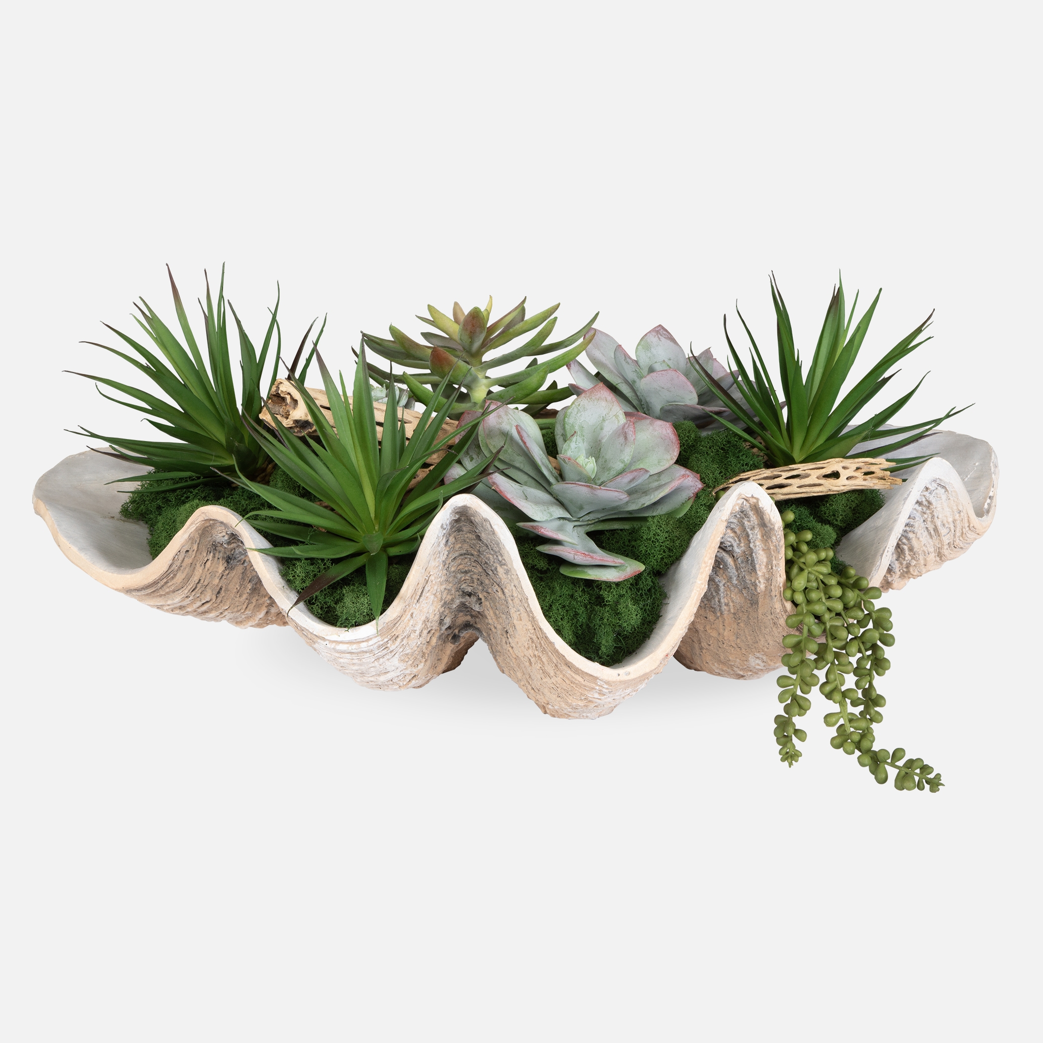 Seaside Breeze Succulents - Image 0