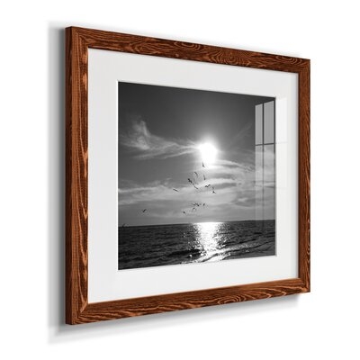 Taking Flight by J Paul - Picture Frame Photograph Print on Paper - Image 0