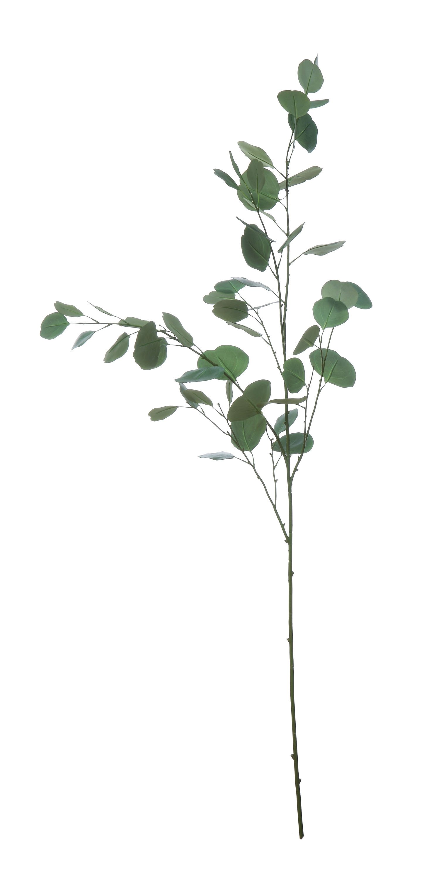 Faux Eucalyptus Branch, 54" - Image 0