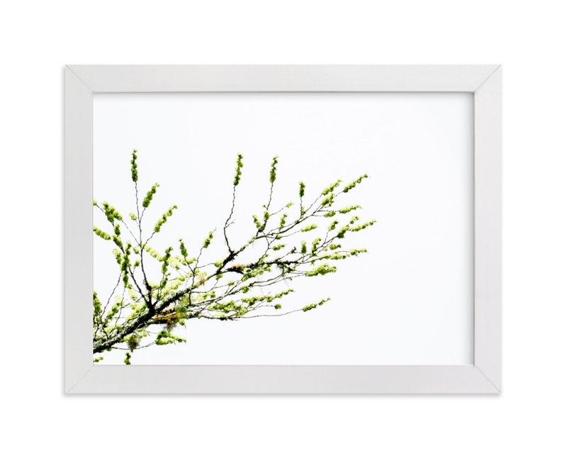 Sun Seeking Limited Edition Fine Art Print 1 - Image 0