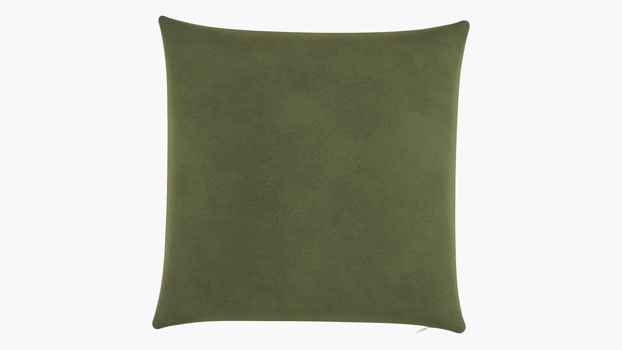 Throw Pillow 22", Zucchini Luxe Velvet, 22" x 22" - Image 0