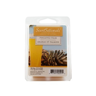 Pineapple Palm Scented Wax Melt - Image 0