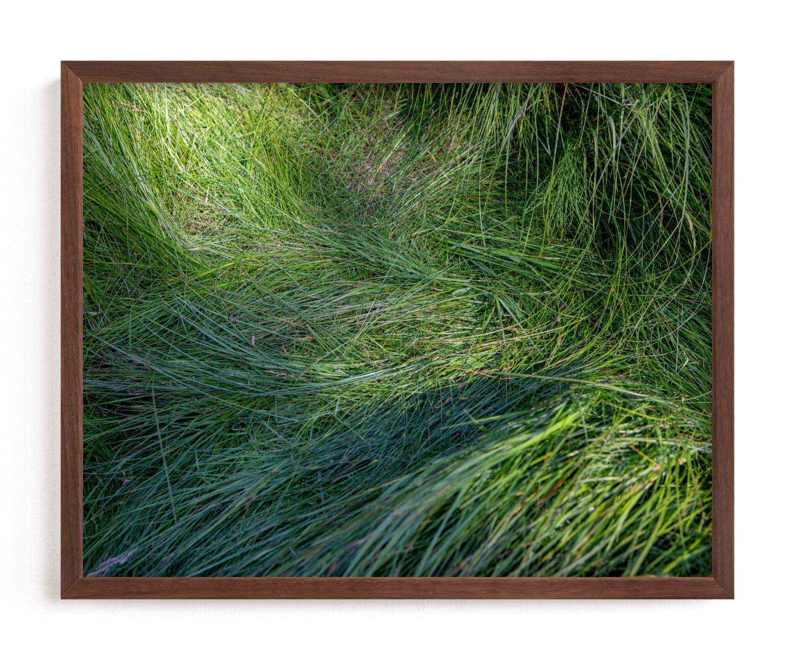 A Deer Slept Here. Limited Edition Fine Art Print 2 - Image 0