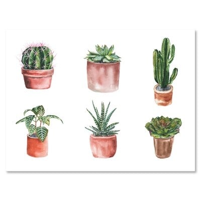 Flowers In A Pot Cacti And Succulents - Traditional Canvas Wall Art Print PT35475 - Image 0