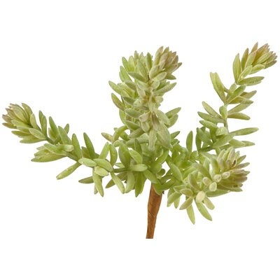 Flocked Mini Stem Succulent - Image 0
