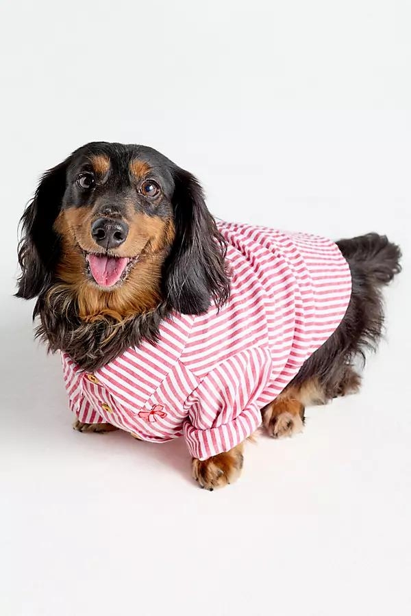 Cupid's Bow Striped Button-Up - Image 0