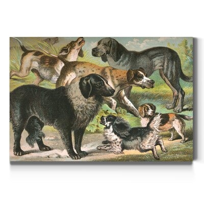 'Johnsons Dog Breeds III' - Wrapped Canvas Print - Image 0