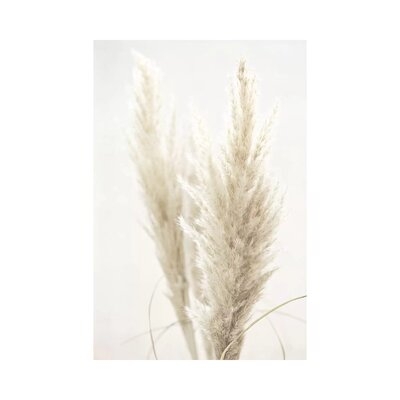 Pampas Reed II by Monika Strigel - Wrapped Canvas Photograph Print - Image 0
